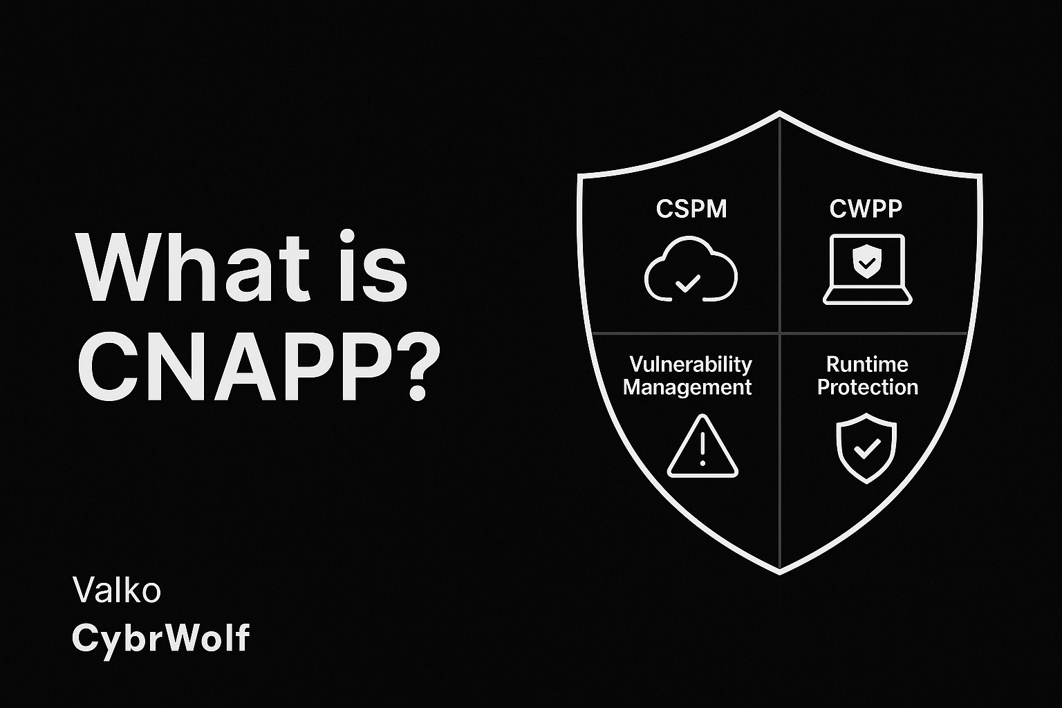 cnapp banner